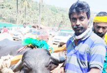 ಮೂಡೂರು ಪಡೂರು ಕಂಬಳ ಕೂಟದ ಫಲಿತಾಂಶ: