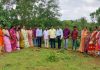 ಕೈತ್ರೋಡಿ ಹಿಂದೂ ರುದ್ರ ಭೂಮಿಯಲ್ಲಿ ಗಿಡಗಳ ನಾಟಿ ಕಾರ್ಯಕ್ರಮ